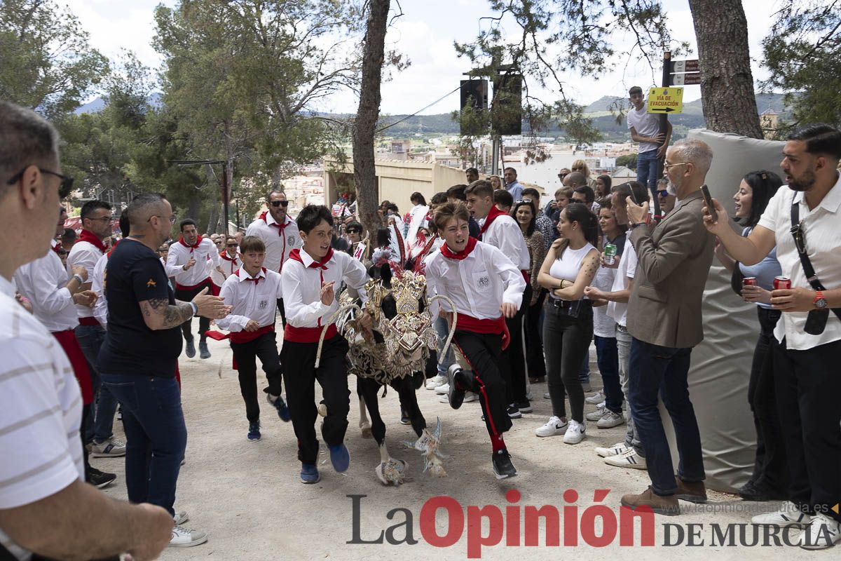 Fiestas de Caravaca | Desfile infantil del Bando de los Caballos del Vino