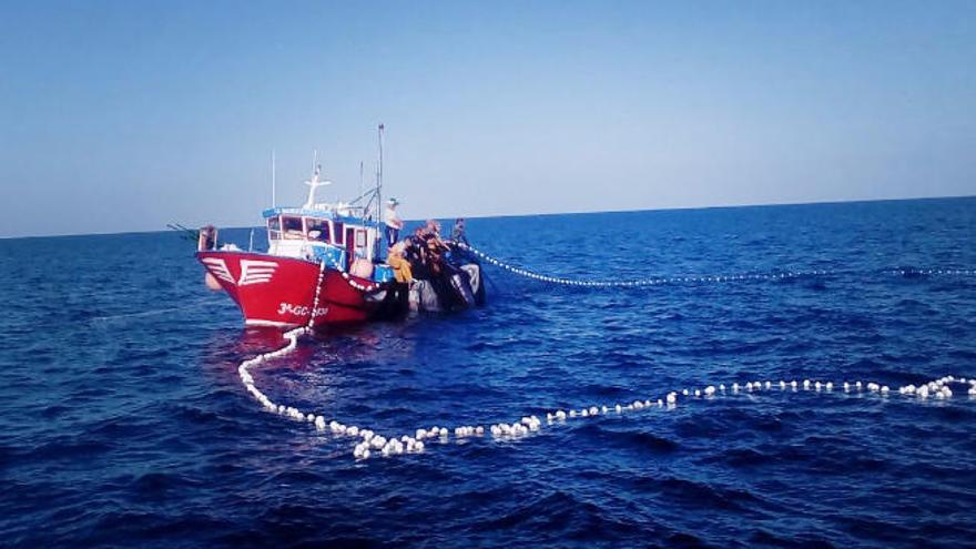 Marineros del barco &#039;La Mairena&#039; de Morro Jable, calando el arte de cerco para la captura de cebo vivo.