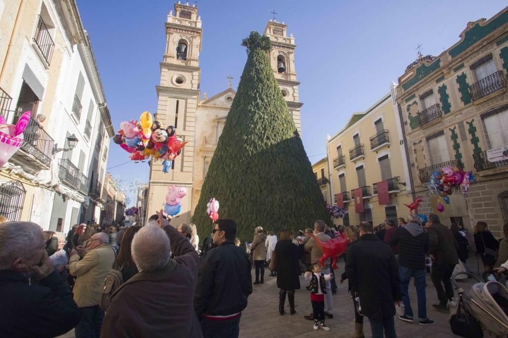 Dia de la Foguera de Canals 2020