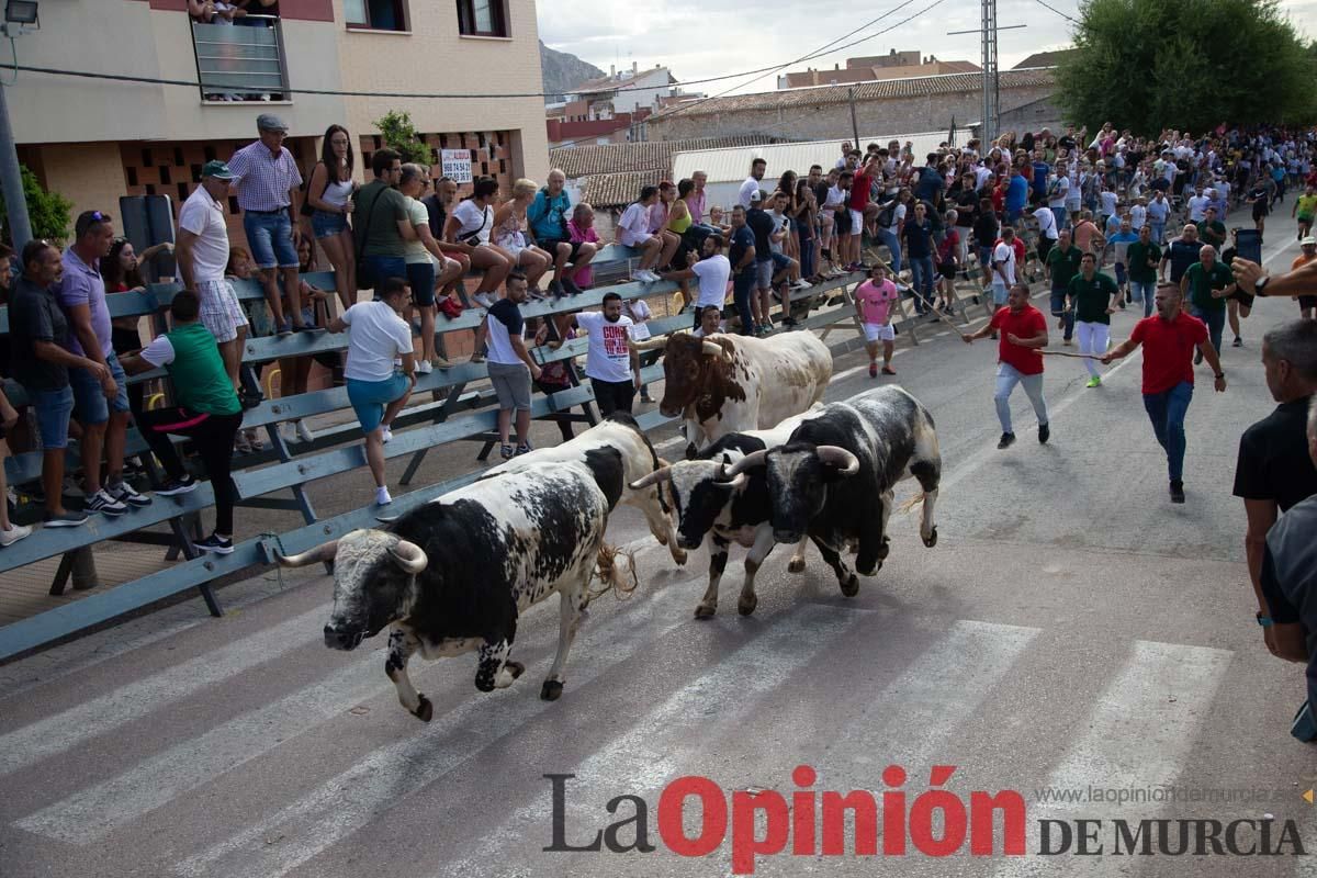 Primer encierro de la Feria del Arroz de Calasparra