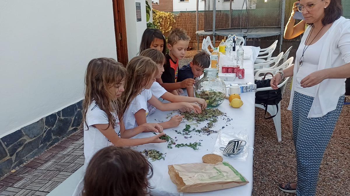 Un grup de nens seleccionant les herbes per a posar-les a l’interior del recipient.