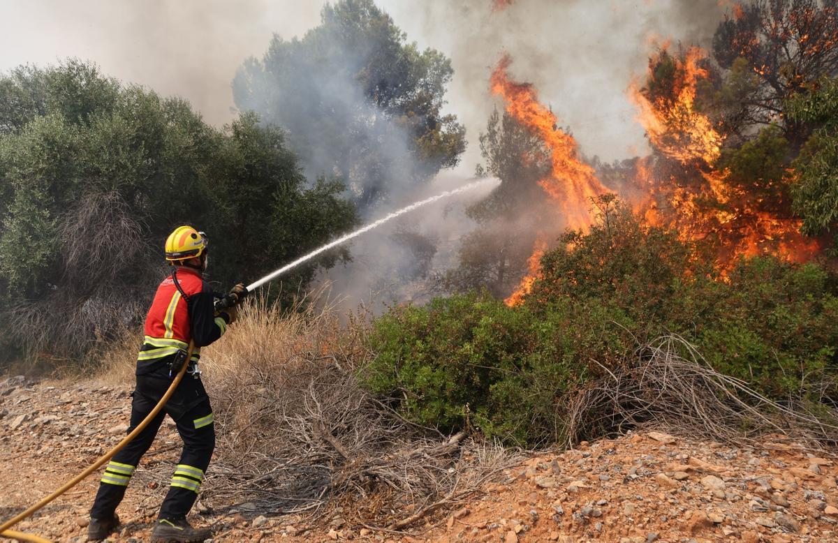 El incendio forestal en la Vall d'Uixó ayer.