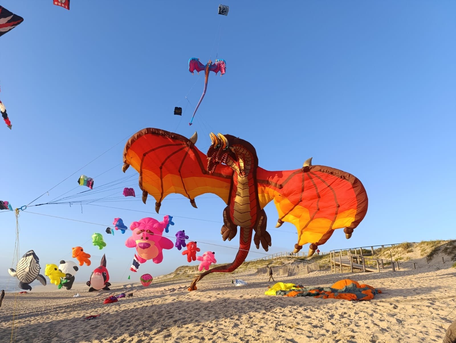 Magia para la vista: el festival de cometas que colorea el aire en Portugal