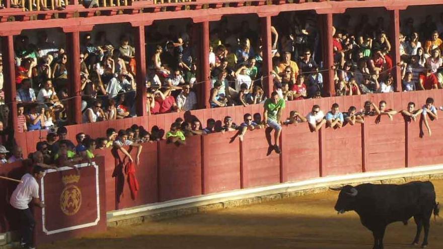 Aficionados taurinos disfrutan de un festejo en la plaza de toros de la ciudad. Foto