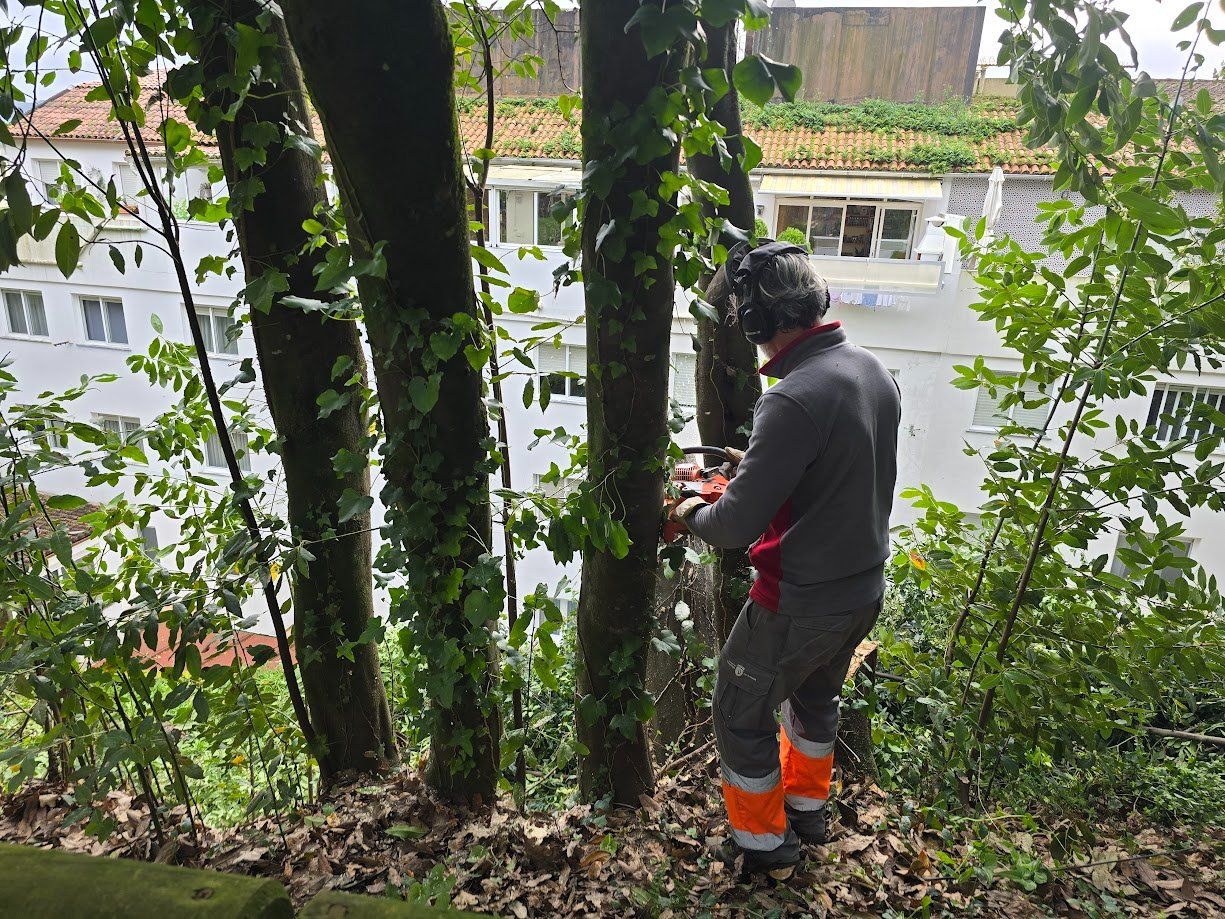 La tala de árboles en el Parque Valdés Bermejo para garantizar la seguridad ciudadana.