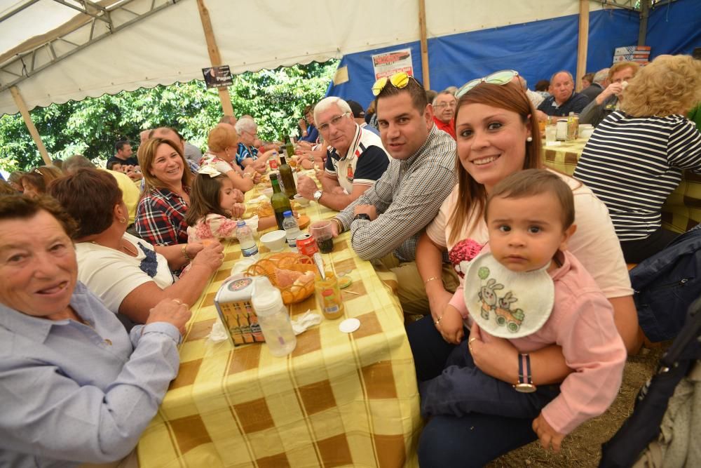 Romería de San Breixo en Barro