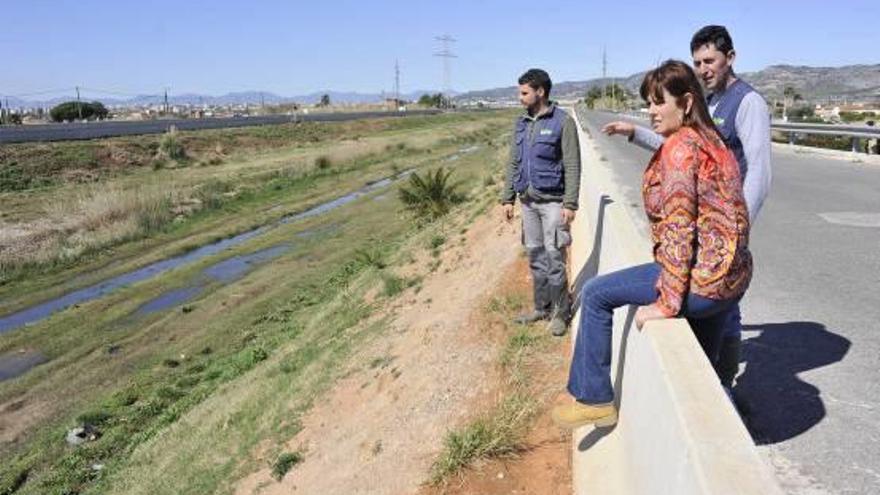 Los tratamientos se llevan a cabo todo el año.