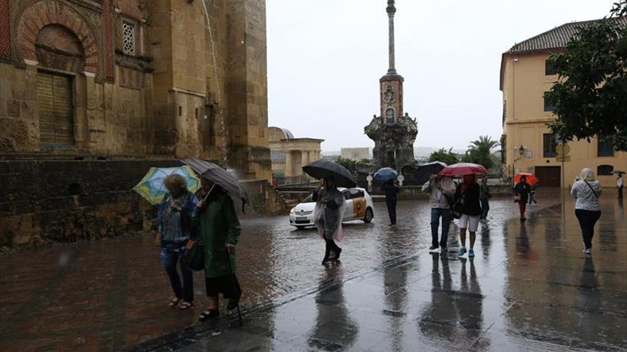 Las lluvias siguen mejorando las condiciones de los cultivos