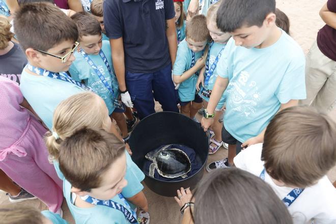 La vuelta al mar de la tortuga lora rescatada en Gijón tras recuperarse en el Acuario, en imágenes