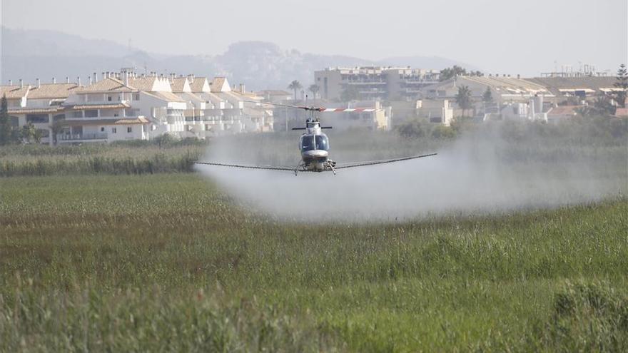 Peñíscola y Benicarló piden ya fumigaciones desde el aire