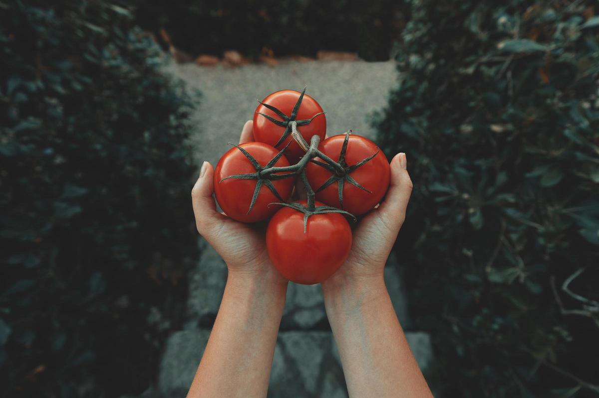 Los tomates son beneficiosos para la salud prostática