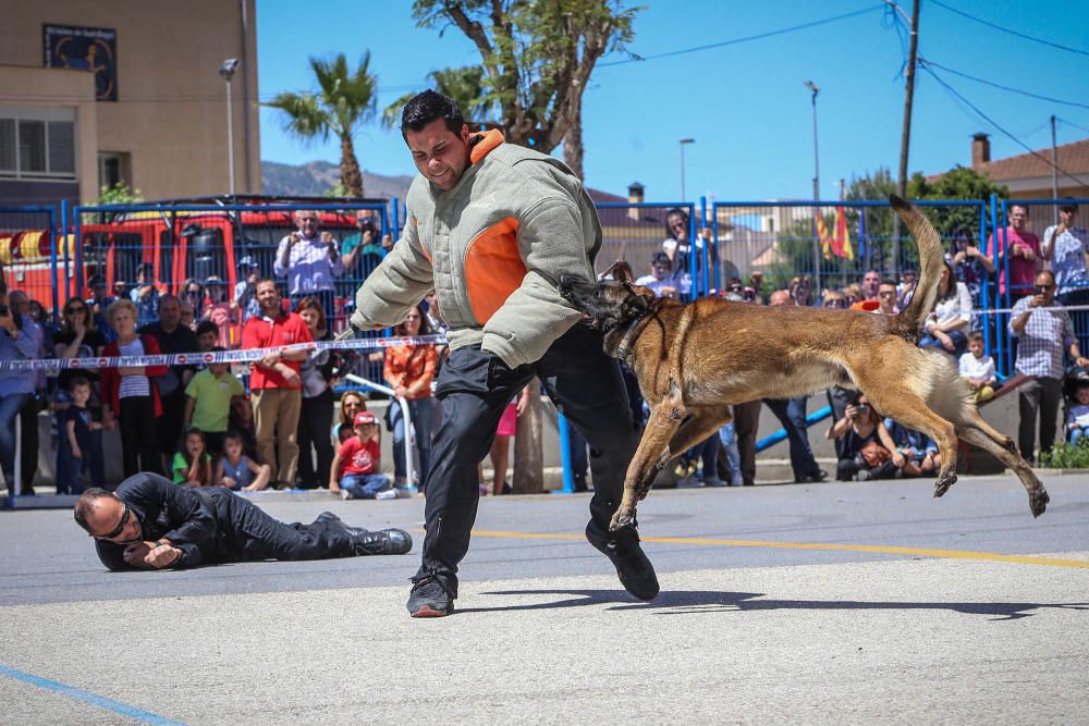 Romería de San Cristóbal y exhibición de las Fuerzas Armadas en Redován