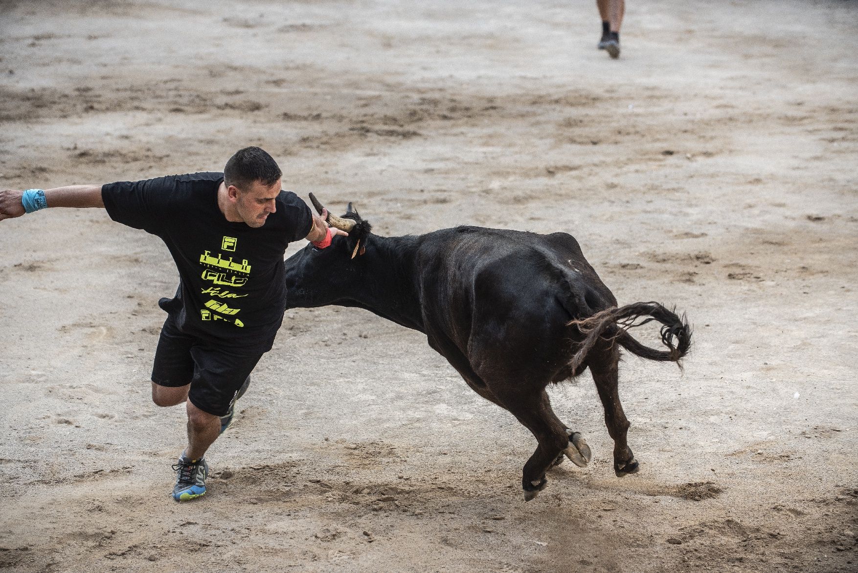 Corre de bous de Cardona