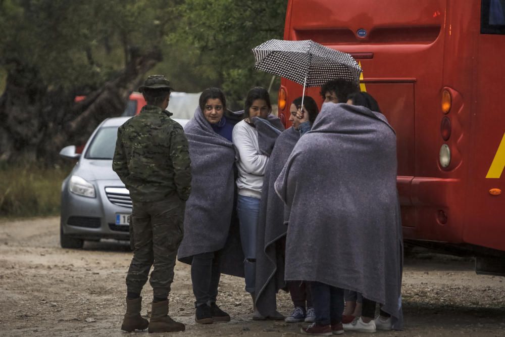 Knapp 500 Feuerwehrleute und Soldaten haben am Donnerstag (27.3.) im Waldgebiet bei Palma den Einsatz gegen einen Großbrand geübt.