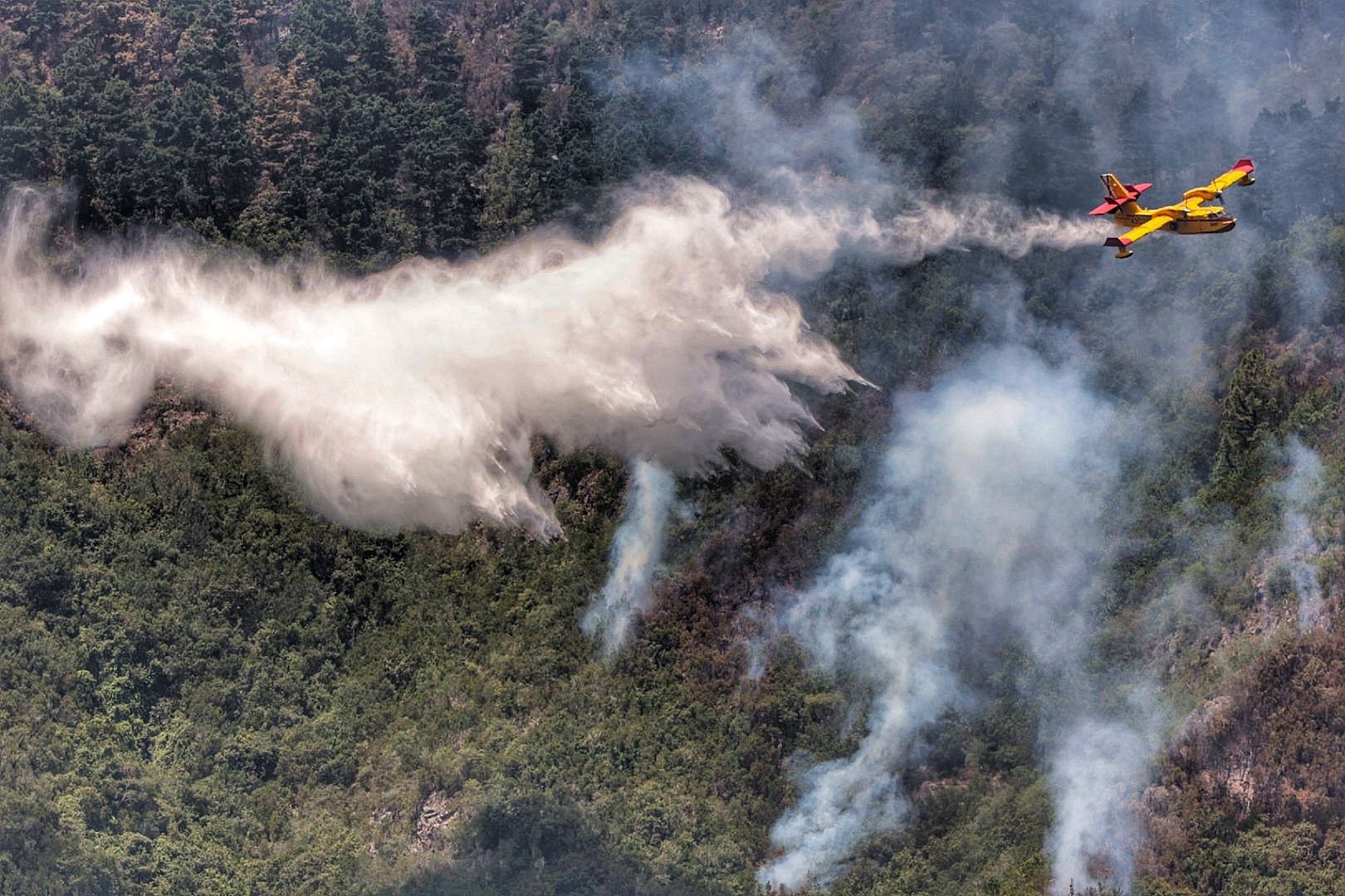 Labores de extinción del incendio en Tigaiga, Tenerife (26/07/2022)