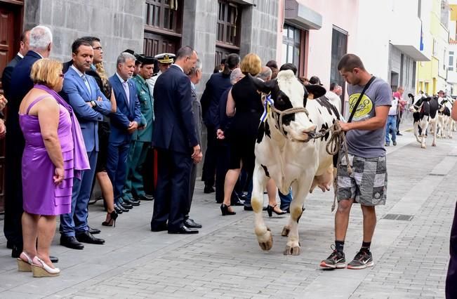 Fiestas de San ROQUE en Firgas