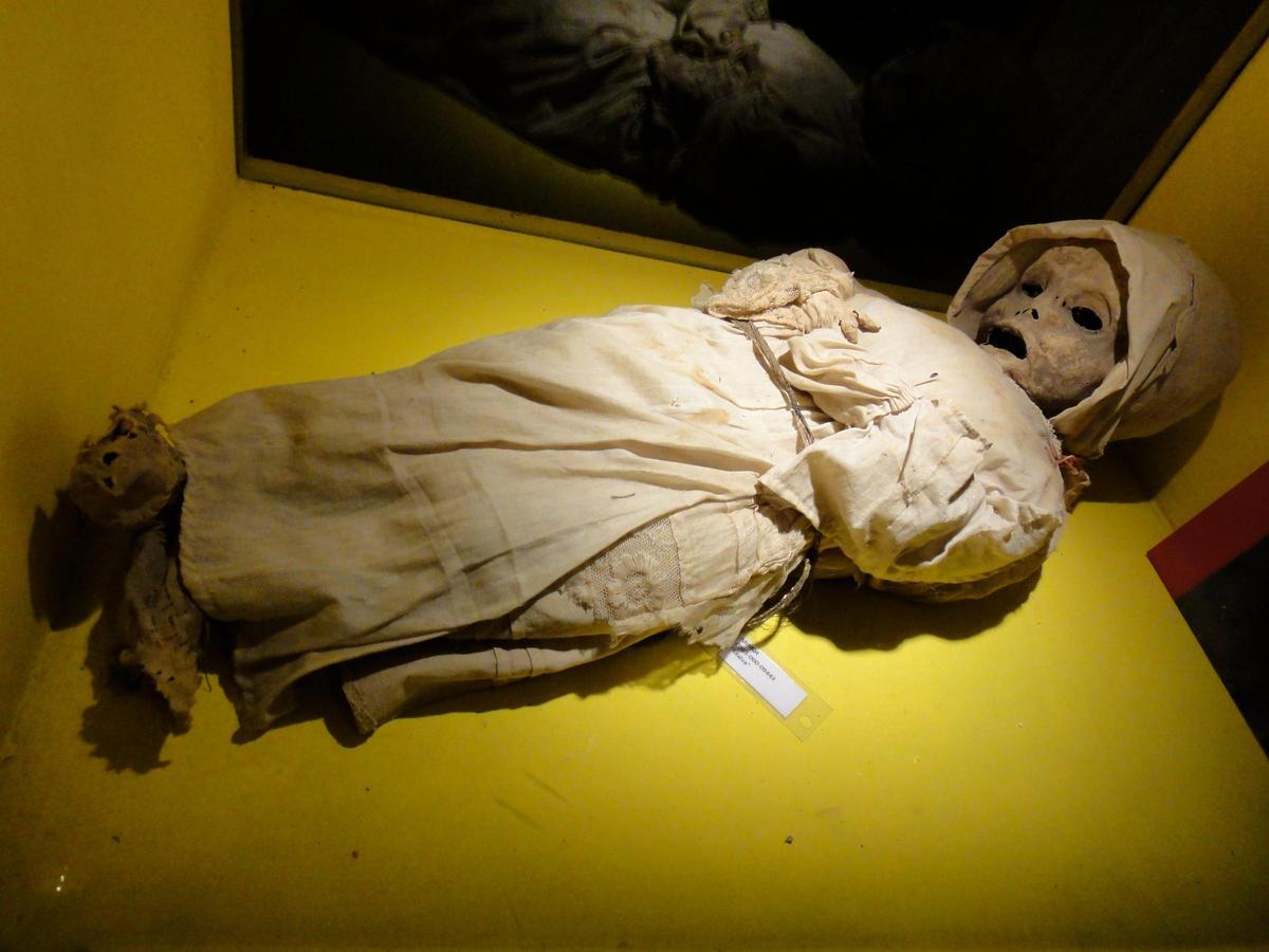 Entre las más de 100 momias que se encontraron había mujeres y hombres, pero también se exhumaron a algunos niños