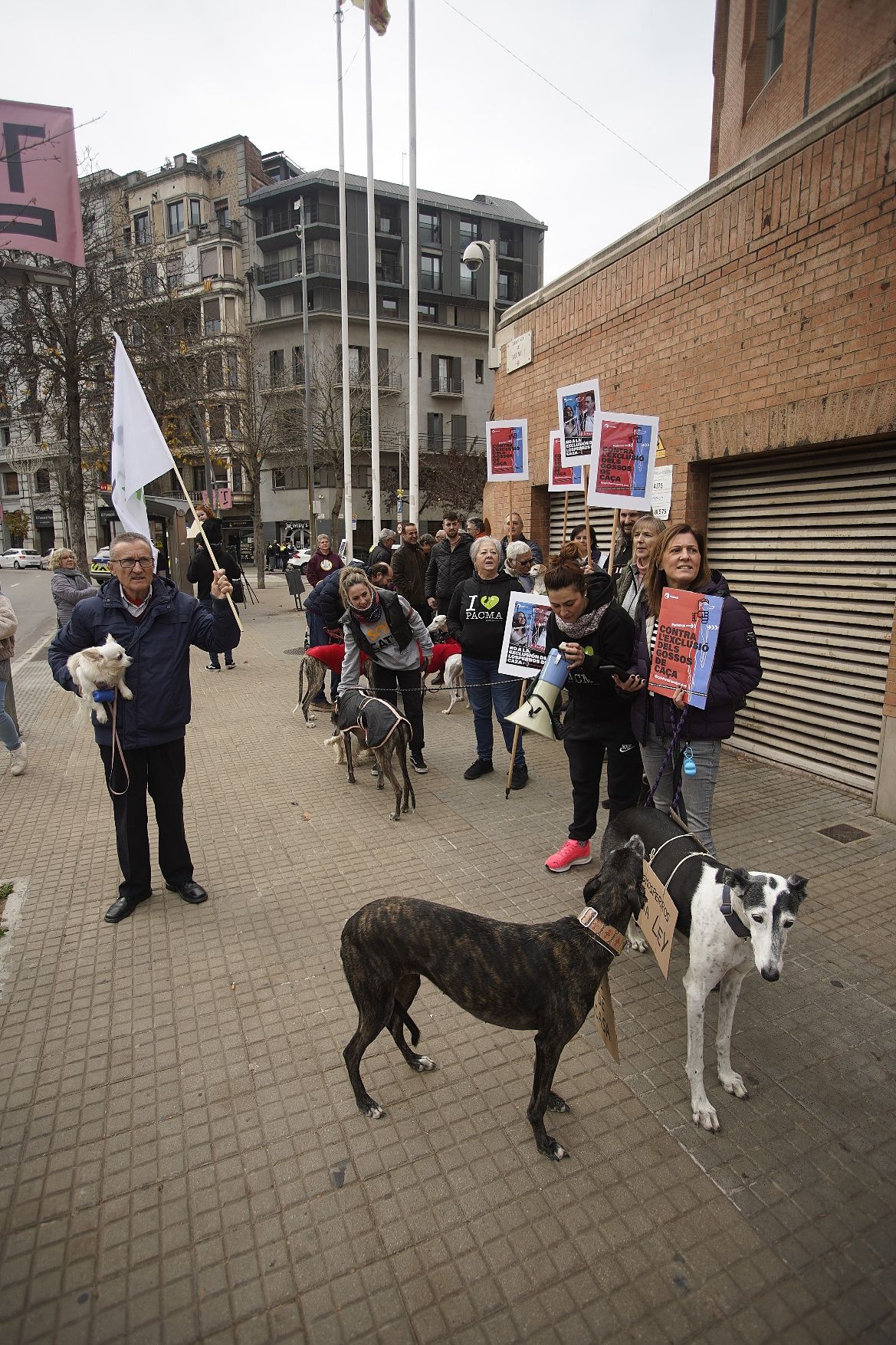 Concentracions del PACMA a Girona per reclamar incloure els gossos de caça a la llei de protecció animal