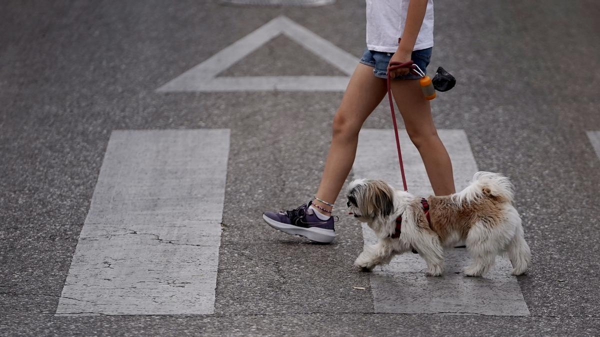 Una niña pasea con su perro. FOTO JOSÉ LUIS ROCA