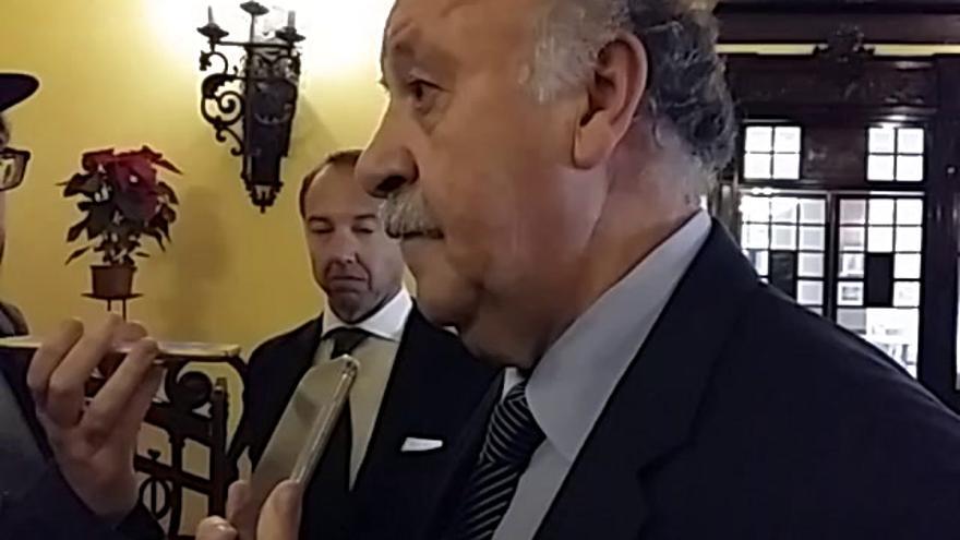 Del Bosque: &quot;Soy partidario del VAR, pero en cosas concretas&quot;