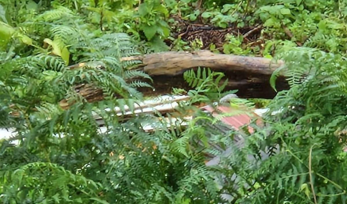 El agujero por el que ya cayó una mascota. | FdV