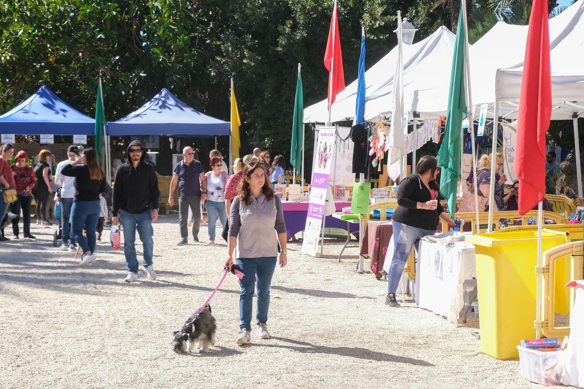 Fiesta de las mascotas en Elche