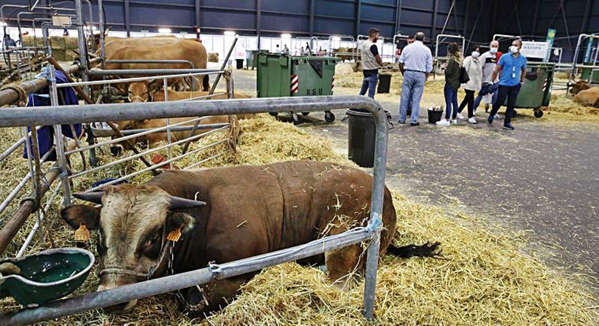 Exposición de productis de la huerta del pasado año. | Ángel González