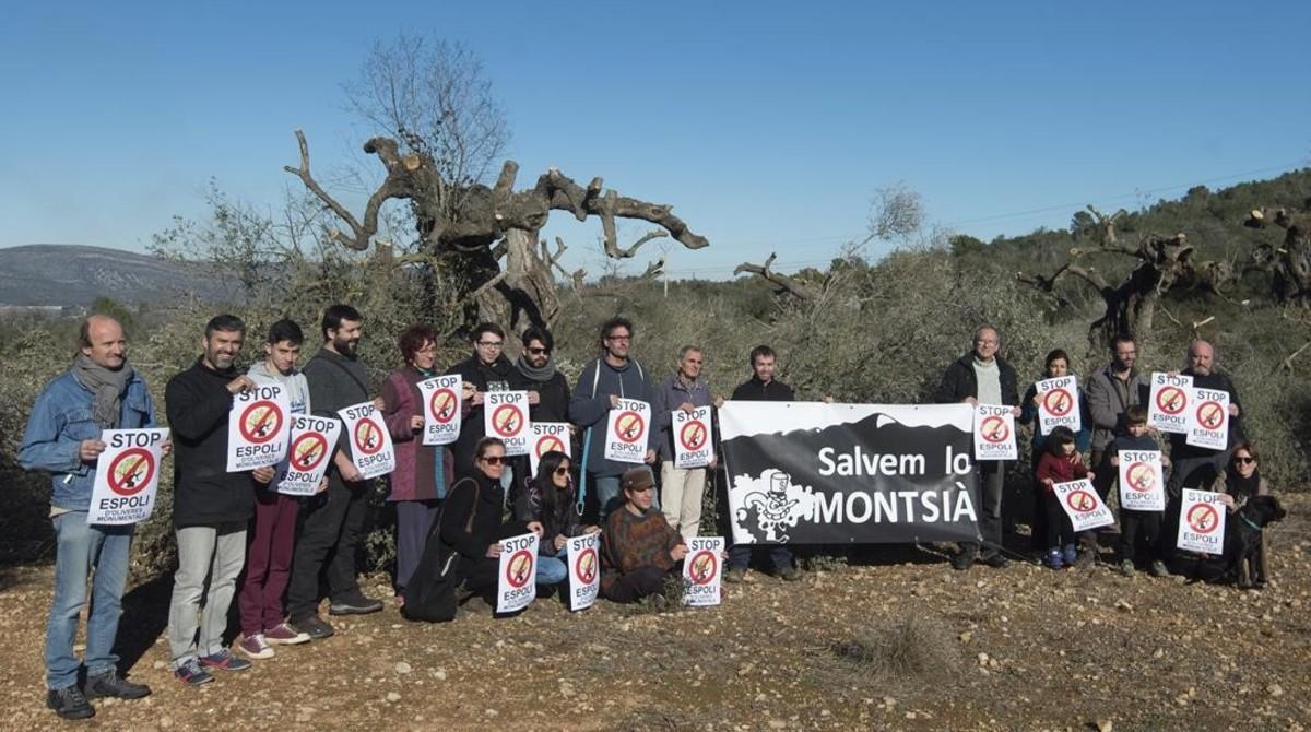 jgblanco37422058 ulldecona montsia 24 02 2017 venta olivos montsia finca 170225223734 jgblanco37422058 ulldecona montsia 24 02 2017 venta olivos montsia finca 170225223734