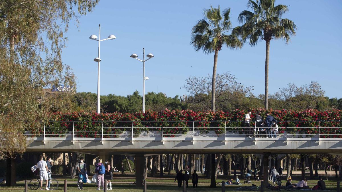 Jardín del Turia de València a la altura del Puente de las Flores.