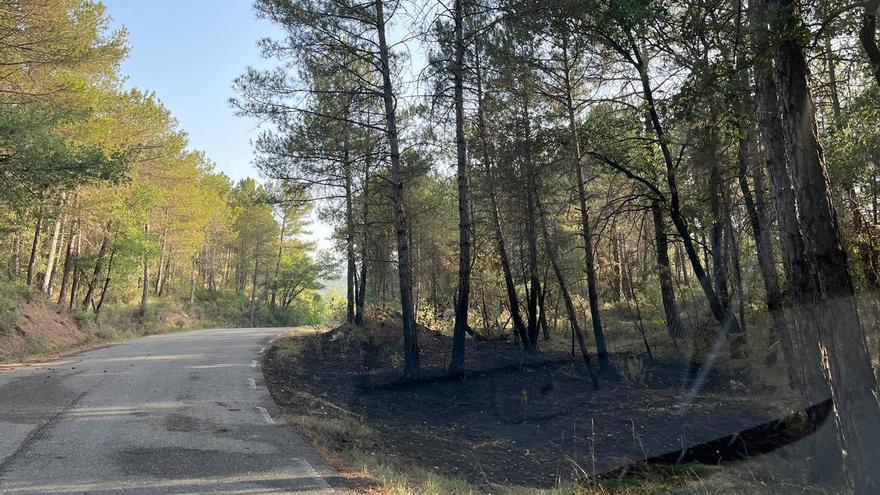 Detingut un piròman a Navès per originar cinc focs a la zona afectada pels incendis del Solsonès