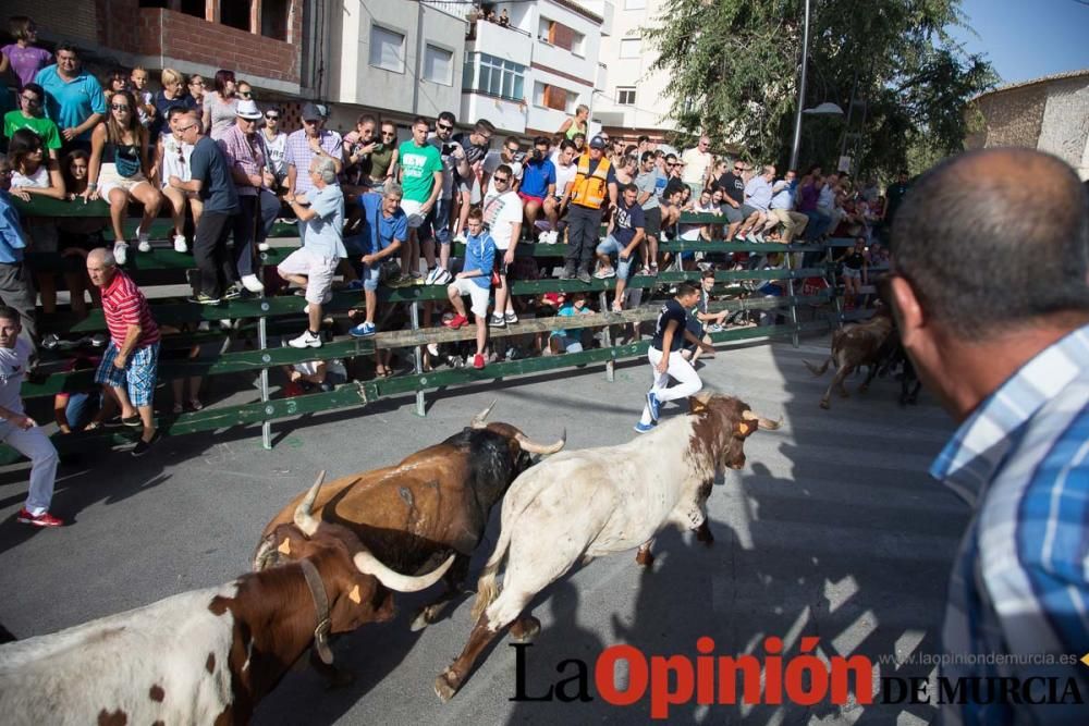 Cuarto encierro de Calasparra