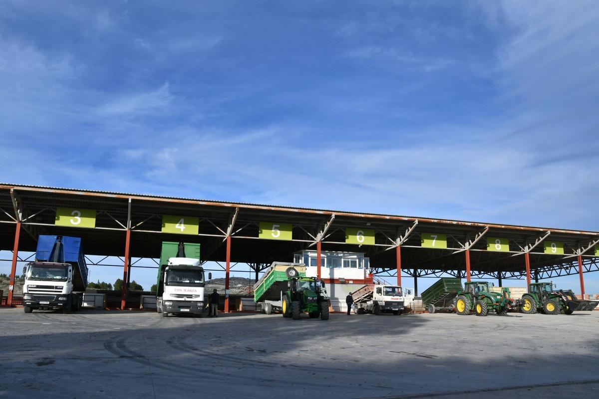 COOPERATIVA NUESTRA SEÑORA GUADALUPE BAENA