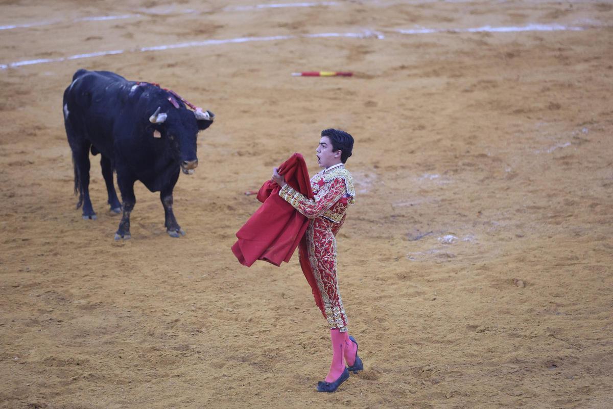 Marco Pérez, ante Potrico, de El Pilar, premiado con la vuelta al ruedo