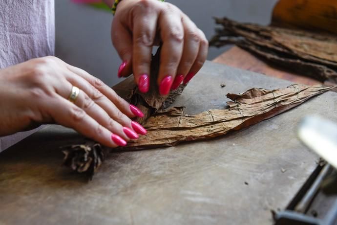 27-08-20  LAS PALMAS DE GRAN CANARIA. SCHAMANN. LAS PALMAS DE GRAN CANARIA.  Reportaje al único taller de puros artesanos que hay en la capital. El taller se llama Doble M y lo lleva Mercedes Martínez, ella es cubana y trae las hojas de tabaco desde la isla caribeña, todo lo hace a mano.  Fotos: Juan Castro.  | 27/08/2020 | Fotógrafo: Juan Carlos Castro