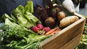 4 mentides de l’alimentació, desmuntades una a una