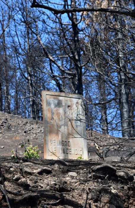 Los reyes de España dan su apoyo a la Cumbre