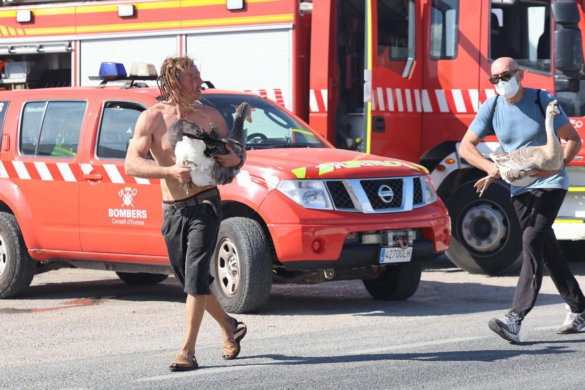Incendio en Cala de Bou.