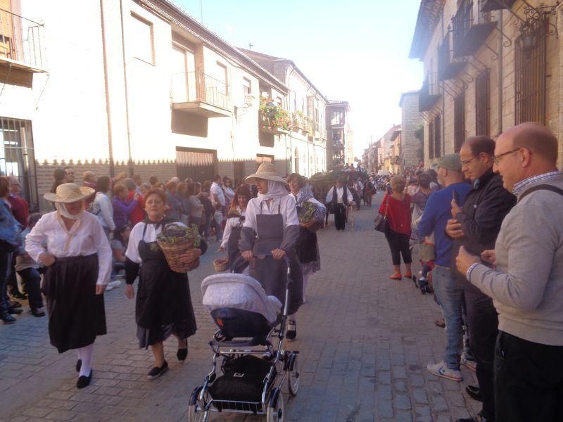 Desfile de carros en La Vendimia 2016 (Toro)