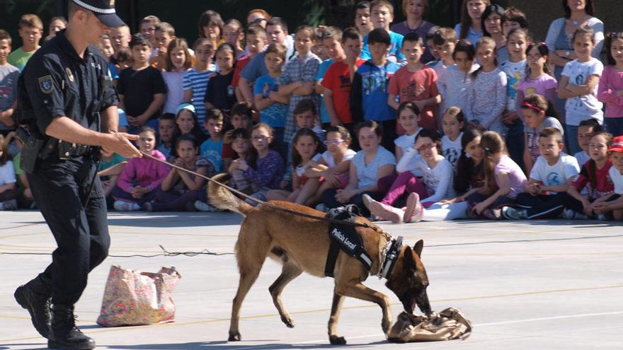 Perros policía hallan hachís durante una exhibición en un instituto de Marbella
