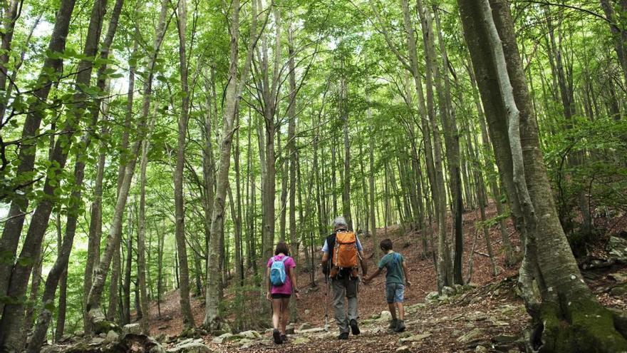 El Parc Natural del Montseny