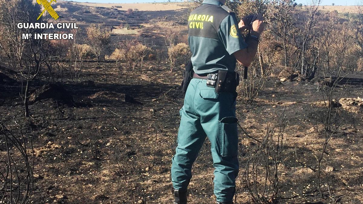 Imagen de archivo de un agente del Seprona investigando un incendio.