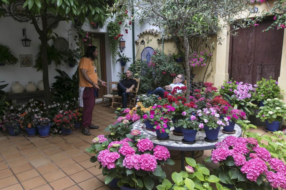 Fotogalería / Descubriendo los patios de la ruta del Realejo y San Andrés