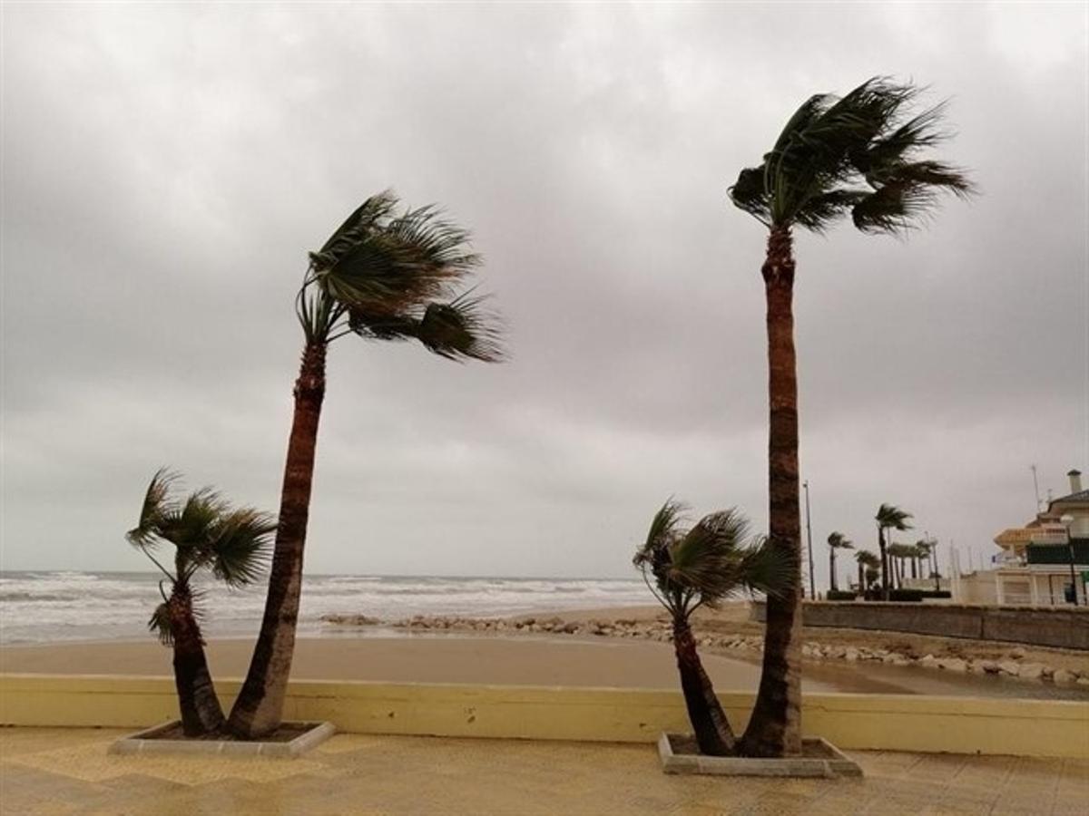 Temporal de viento en València: Se esperan rachas de hasta 100 km/ hora