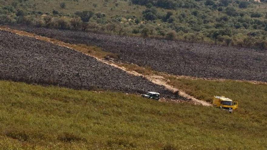 Servicios de extinción de incendios sofoca un fuego en la provincia.