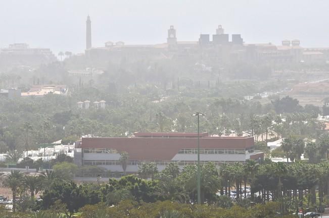 CALIMA MASPALOMAS