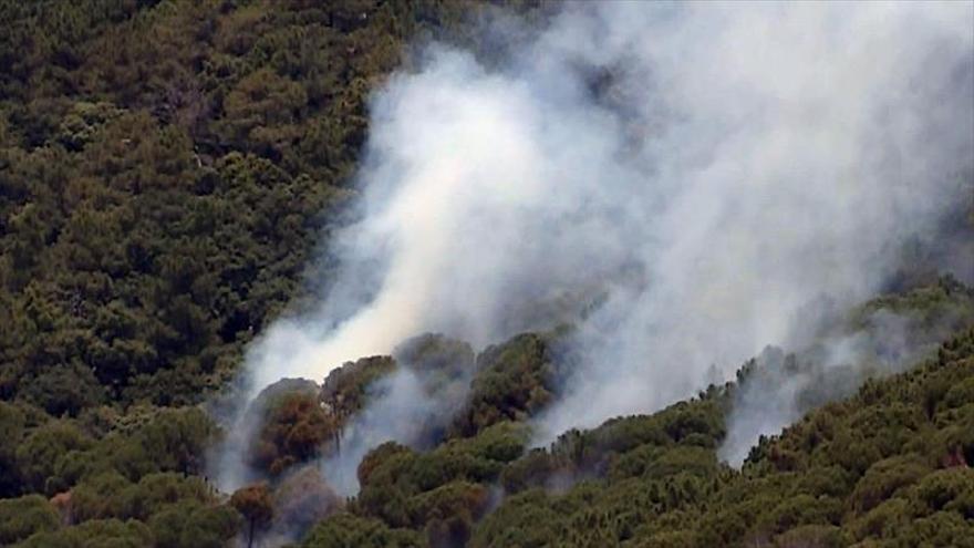 El viento dificulta el control de los fuegos activos en Toledo y Madrid