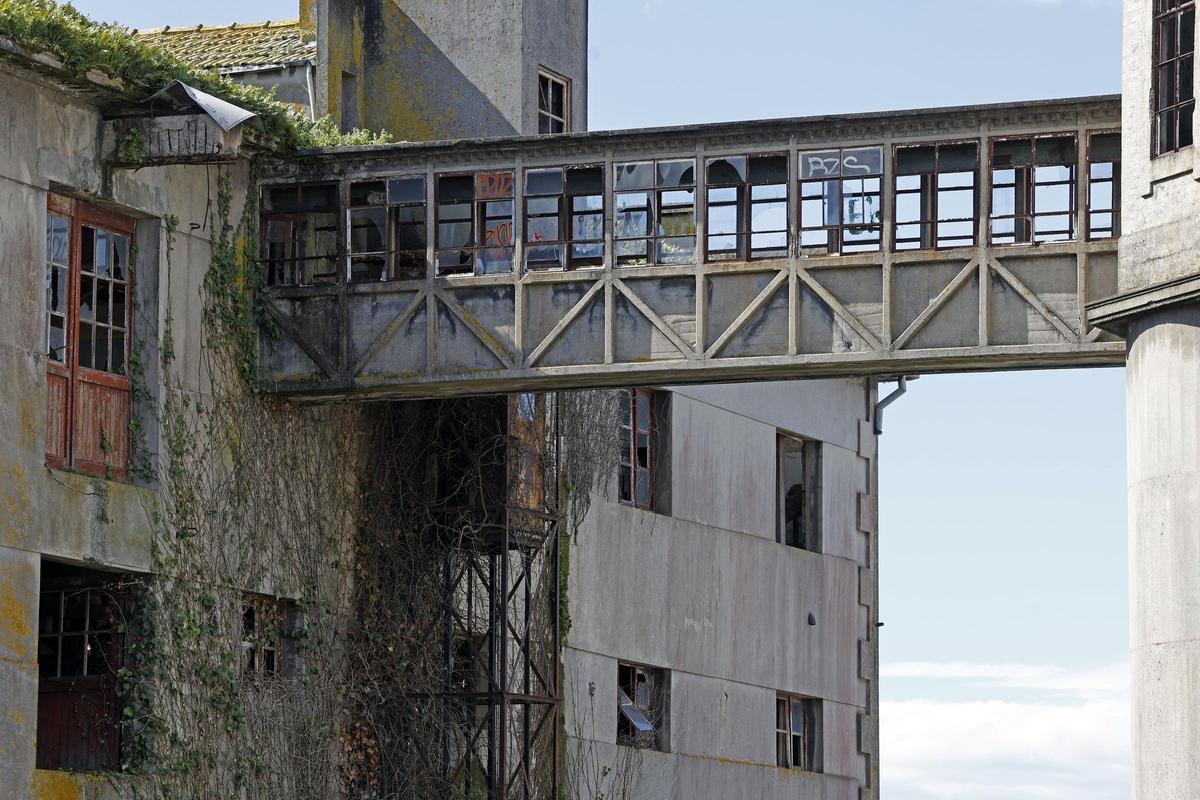 El vandalismo evidencia aún más el abandono de la Panificadora a la espera del PXOM