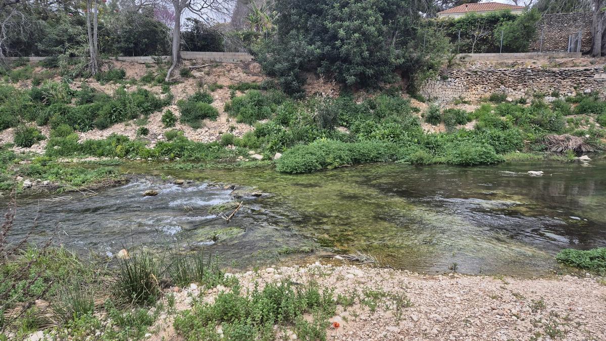 El riu Girona mostra ara la seua esplendor fluvial