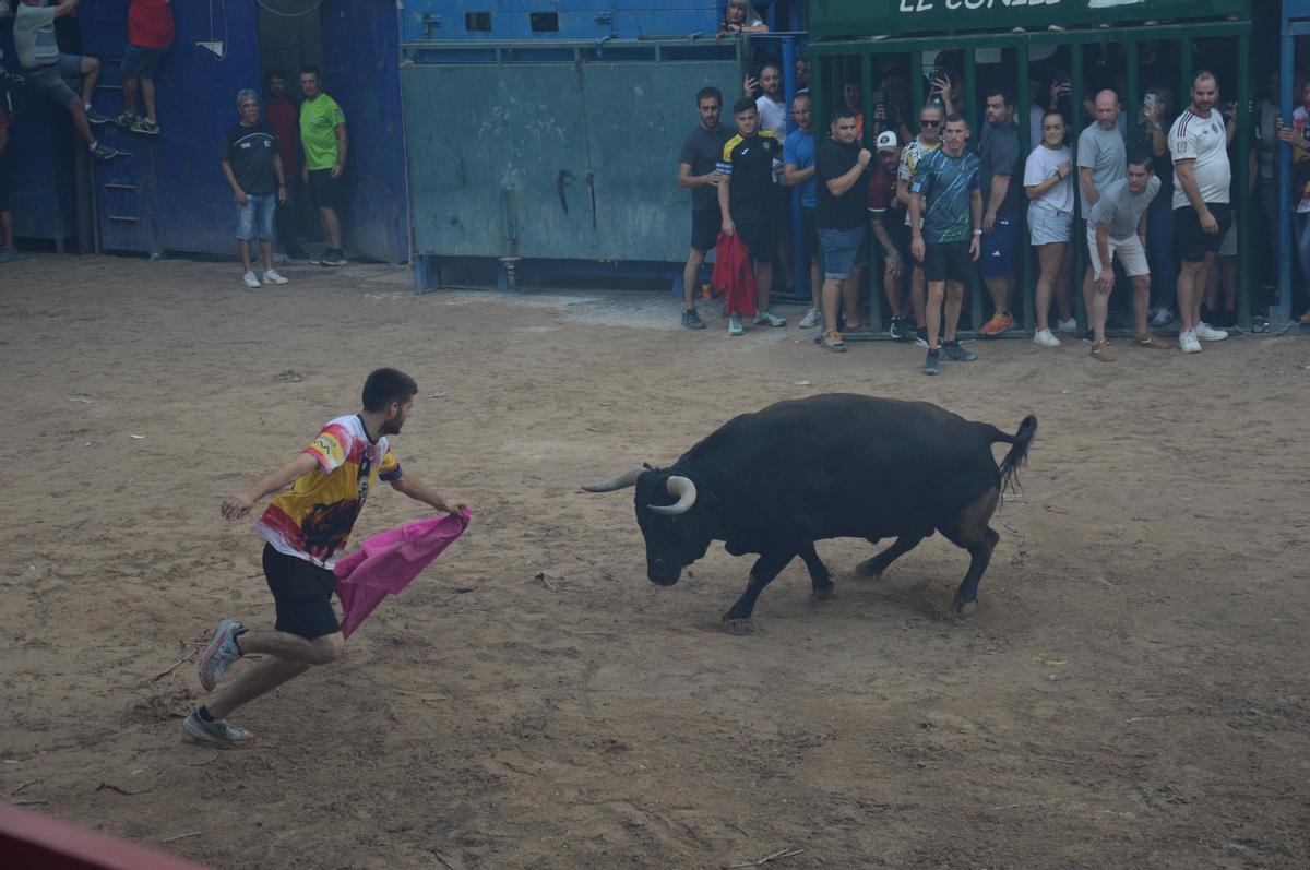 Foto de una de las exhibiciones vespertinas de este martes.