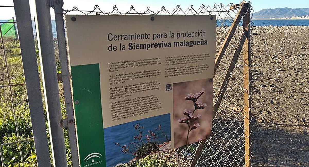 El Limonium cambia el apellido